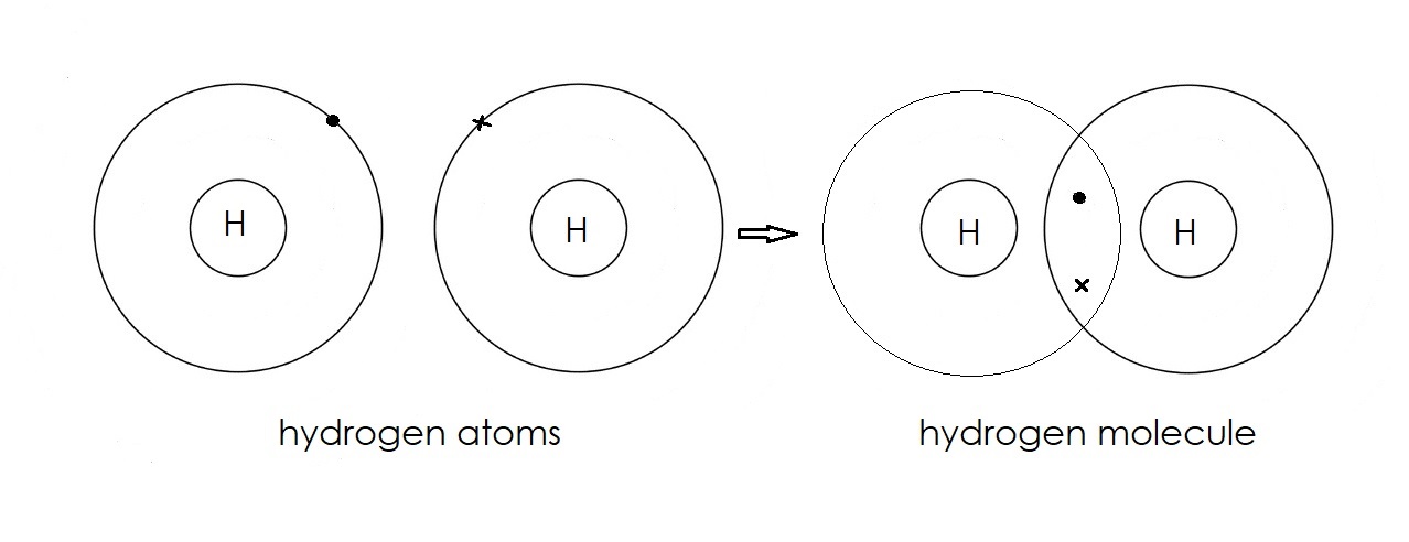 the dot cross diagram for the formation of the covalent molecule of hydrogen