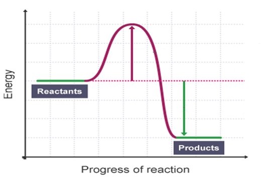 the reaction profile of a reaction showing the changes in energy