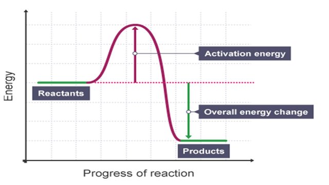 the reaction profile of a reaction showing the changes in energy