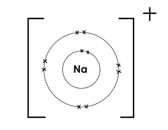 the dot cross diagram for a sodium ion showing the electrons