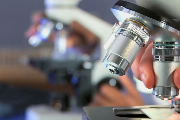 science, biology, chemistry, physics, combined science, triple science 