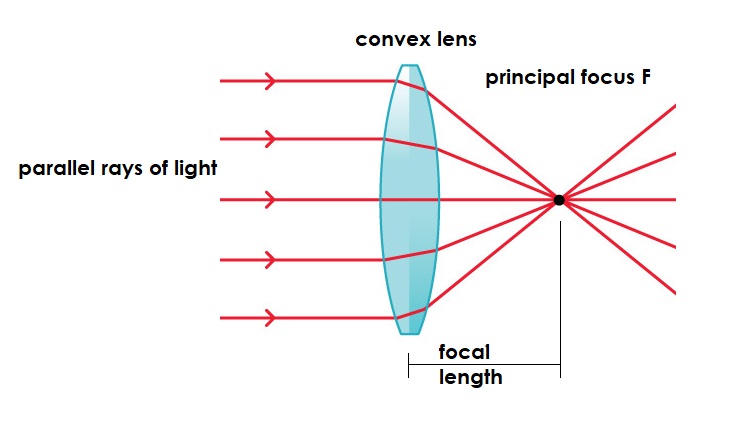 parallel rays passing through a convex lens